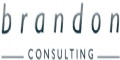 Brandon Consulting Ltd