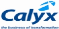 Calyx